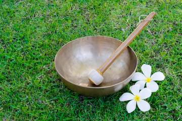 tibetan singing bowl and plumeria flowers on the grass