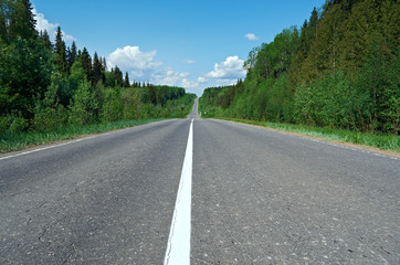 road in Russian forest