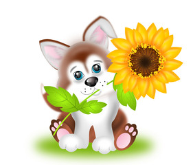Cute dog with sunflower