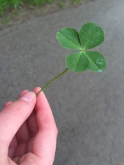 Vierblättriges Kleeblatt
