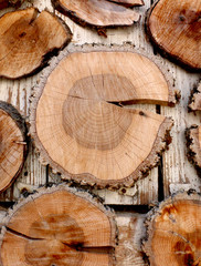 Naklejka premium fire wood background texture. closeup of chopped fire wood stack