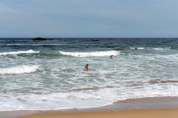 Obraz premium The beach in Vina del Mar. 