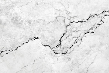 white marble texture background (High resolution).