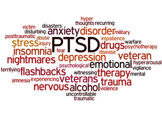 Posttraumatic Stress Disorder - PTSD, word cloud concept 8