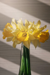 bouquet of yellow daffodils