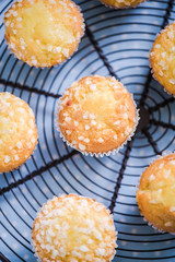 Lemon muffins on cooling tray