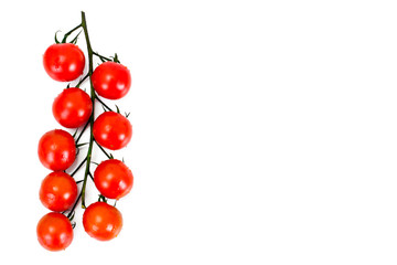 Red Tomatoes Isolated on a White Background 
