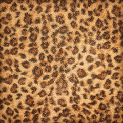 fabric pattern leopard pattern for background and texture