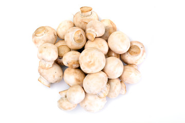 Champignons Mushroom