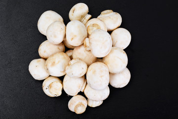 Champignons Mushroom