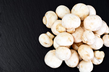 Champignons Mushroom