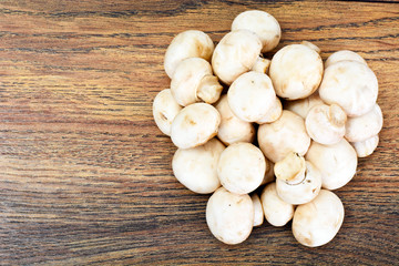 Champignons Mushroom