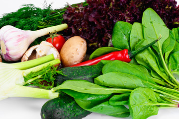 Vegetables Tomato, Pepper, Mushroom, Cucumbers, Radic, Fennel an