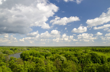 Fototapeta na wymiar Peaceful atmosphere of white clouds, river and green forest