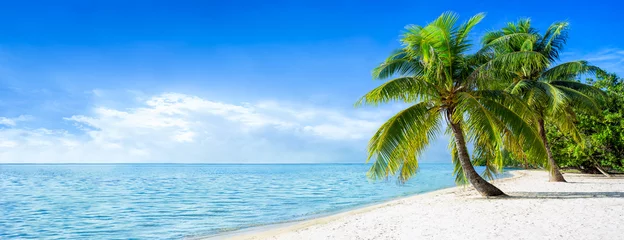 Crédence de cuisine en verre imprimé Bora Bora, Polynésie française Panorama de vacances à la plage en été