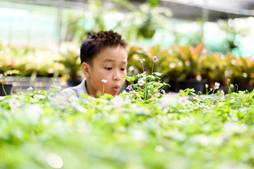 Boy and little plant