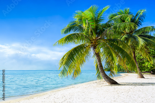 Featured image of post Fototapete Sonne Strand Meer