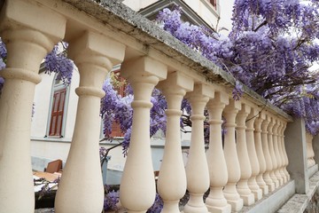Balconata con glicine