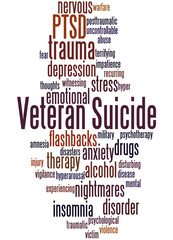 Obraz premium Veteran Suicide, word cloud concept 7