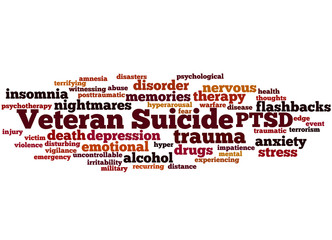 Veteran Suicide, word cloud concept 9