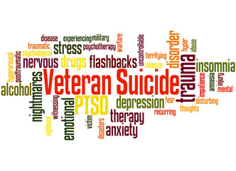 Veteran Suicide, word cloud concept