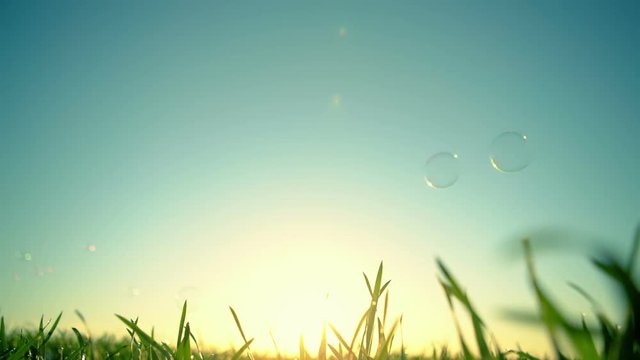 Beautiful nature background with soap bubbles. RAW video record.