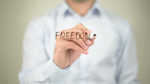 Freedom Of Information, writing on transparent screen