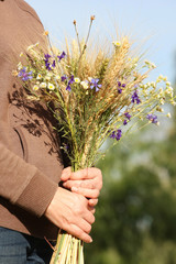 bouquet of ears of rye and wild flowers i