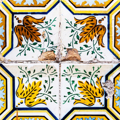 Beautiful Art Texture / Traditional ornate portuguese decorative