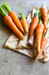 Fresh organic carrots