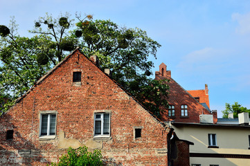 Fototapeta na wymiar Stary dom na tle drzewa i nowego budynku
