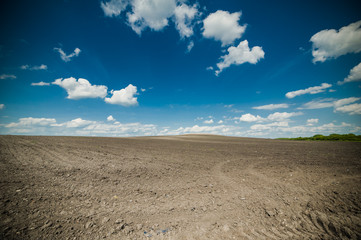 Fototapeta na wymiar beautiful landscape with the sky and plowed land