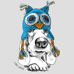 The poster with the image of the dog Basset Hound in the Owl chullo hat. Vector illustration.