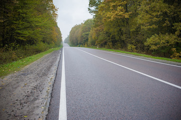 Obraz premium new asphalt. repaired road. road through the autumn forest