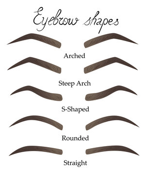 Female eyebrows in different shapes forms