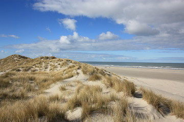 Dunes by the beach with clouds passing by