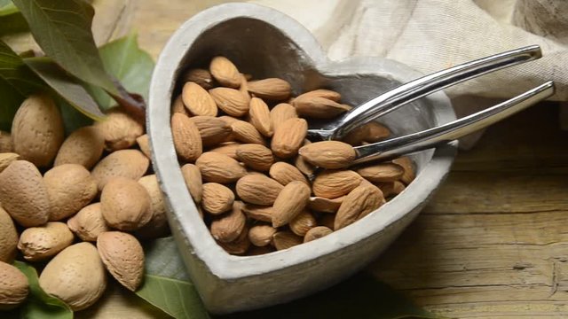 M&egrave;nnula Ametlla Amande Almond Migdały Mandorla &Alpha;&mu;ύ&gamma;&delta;&alpha;&lambda;&omicron; Mandle Aminte plod Ametlles Almendra Amandel noot አልመንድ Mandorle Almendras Mandľa semeno Almonds Ametla