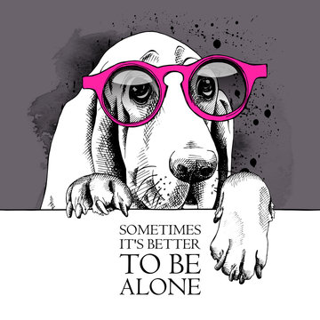 The image dog Basset Hound portrait in the glasses. Vector illustration.