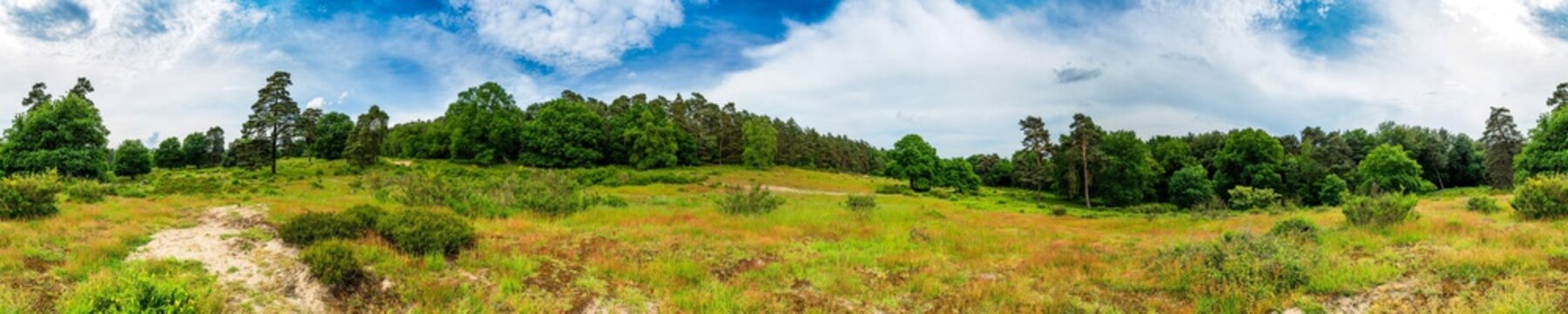 Wald und Wiese &ndash; Panorama einer sommerlichen Landschaft