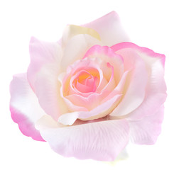 Artificial rose on white background.