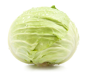 green cabbage isolated