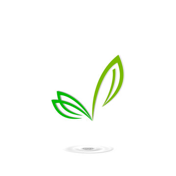 logo leaf green, icon butterfly