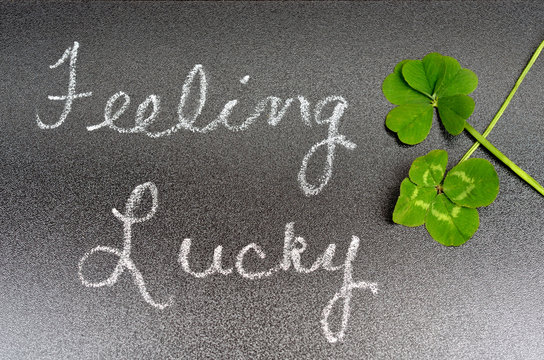 Feeling lucky concept sign, 5 five leaf clover, 4 four leaf clover. Luck, Lucky, success, fun, winning, winner.  St Patrick's day symbol of luck.