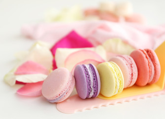 Fresh macaroons and rose petals on white background