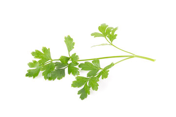 Parsley herb isolated on white background
