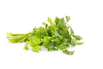 Fresh celery leaf isolated on white