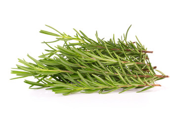 rosemary isolated on white background