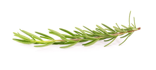 rosemary isolated on white background
