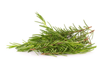 rosemary isolated on white background