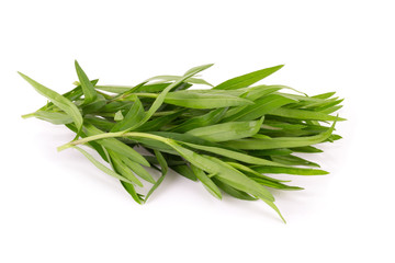 Tarragon herbs close up isolated on white